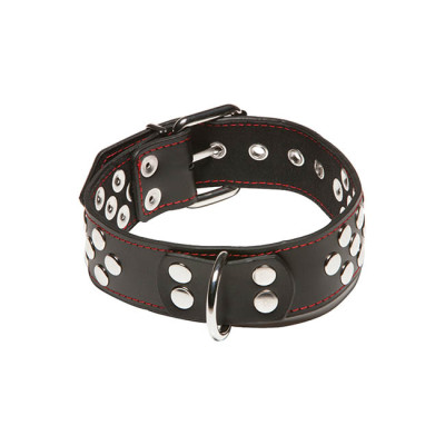Riveted Collar Leather Black