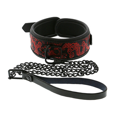 BLAZE Deluxe Collar & Leash