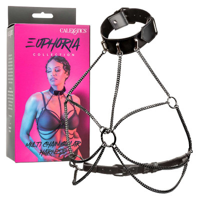 Euphoria Collection Multi...