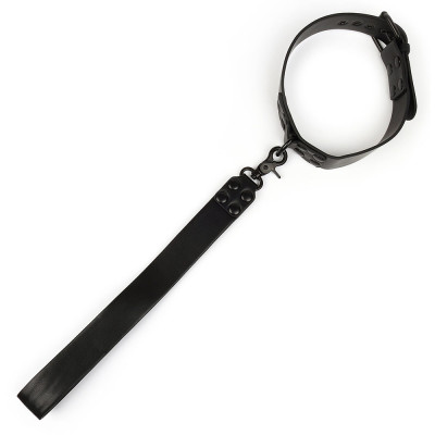 Signature Collar & Short Leash
