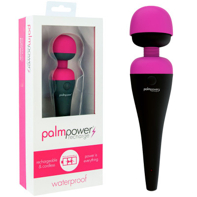 PalmPower Rechargeable...