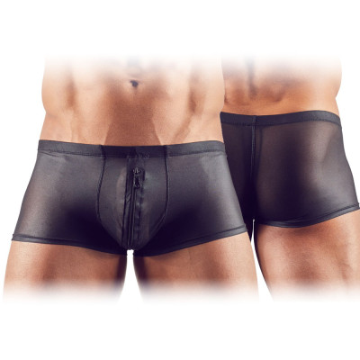 Pants Sheer with zipper Black